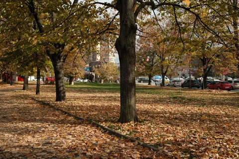 Autumn Park 4K Wallpaper · autumn · 3840×2560
