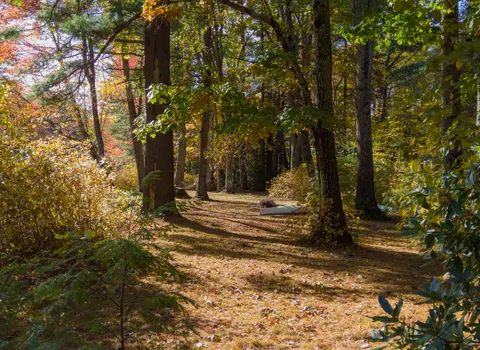 Autumn Park 4K Wallpaper · autumn · 3840×2804