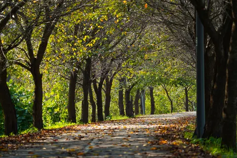 Autumn Park 4K Wallpaper · autumn · 3840×2560