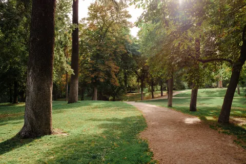 Autumn Park 4K Wallpaper · autumn · 3840×2560