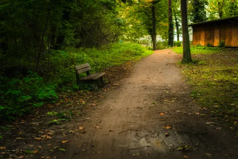 Fond d'écran Parc d'automne 4K · autumn · 3840×2560