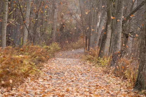 Autumn Park 4K Wallpaper · autumn · 3840×2560