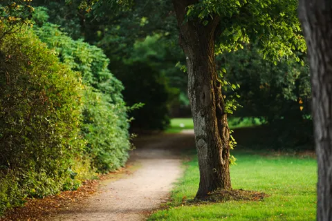 Autumn Park 4K Wallpaper · autumn · 3840×2560