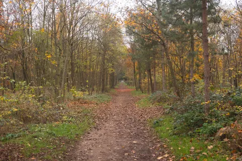 Autumn Park 4K Wallpaper · autumn · 3840×2560