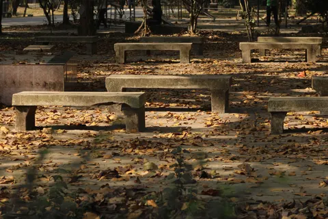 Autumn Park 4K Wallpaper · autumn · 3840×2560