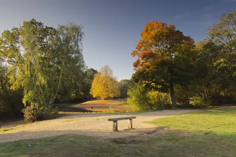 Autumn Park 4K Wallpaper · autumn · 3840×2560