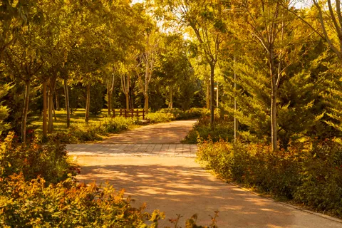 Autumn Park 4K Wallpaper · autumn · 3840×2560