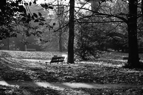 Autumn Park 4K Wallpaper · autumn · 3840×2560