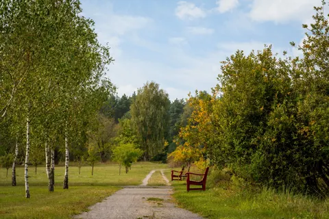 Autumn Park 4K Wallpaper · autumn · 3840×2560