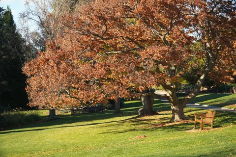 Autumn Park 4K Wallpaper · autumn · 3840×2560