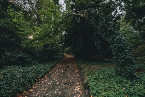 Autumn Park 4K Wallpaper · autumn · 3840×2560