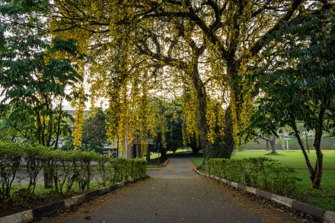 Autumn Park 4K Wallpaper · autumn · 3840×2560