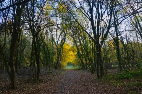 Autumn Park 4K Wallpaper · autumn · 3840×2553