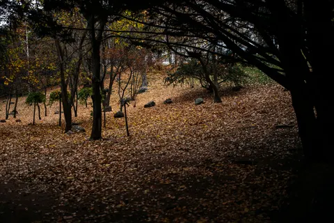Autumn Park 4K Wallpaper · autumn · 3840×2560