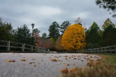 Autumn Park 4K Wallpaper · autumn · 3840×2560