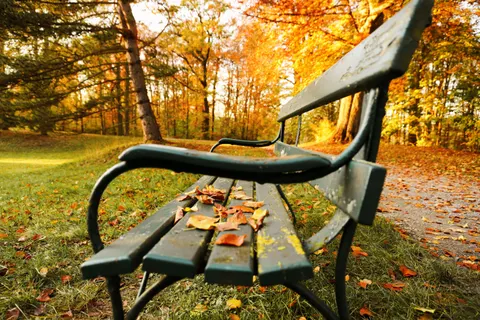Autumn Park 4K Wallpaper · autumn · 3840×2560