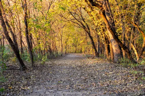 Autumn Park 4K Wallpaper · autumn · 3840×2560