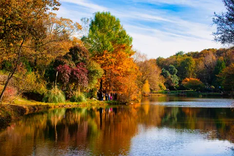 Autumn Lake 4K Wallpaper · autumn · 3840×2560