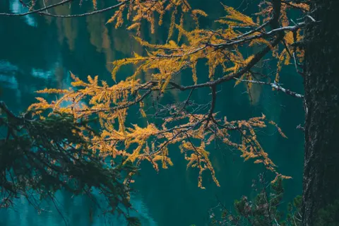 Autumn Lake 4K Wallpaper · autumn · 3840×2560