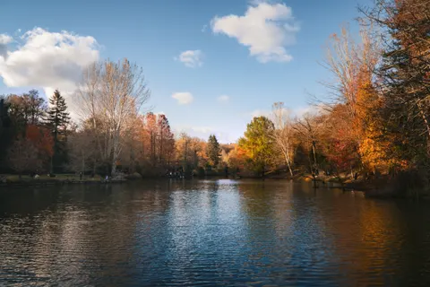 Autumn Lake 4K Wallpaper · autumn · 3840×2560