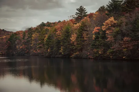 Autumn Lake 4K Wallpaper · autumn · 3840×2563