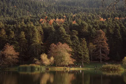 Autumn Lake 4K Wallpaper · autumn · 3840×2560