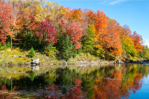 Sfondo Lago in autunno 4K · autumn · 3840×2560
