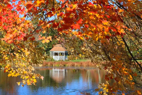 Autumn Lake 4K Wallpaper · autumn · 3840×2560