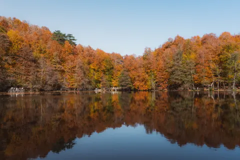 Autumn Lake 4K Wallpaper · autumn · 3840×2561