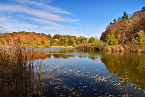 Autumn Lake 4K Wallpaper · autumn · 3840×2560