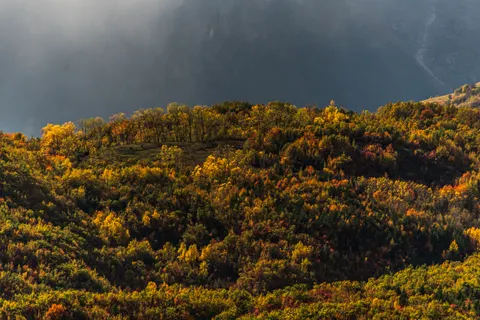 Autumn Mountains 4K Wallpaper · autumn · 3840×2563