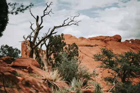 Canyon 4K-achtergrond · nature · 3840×2555