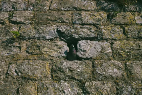 Stone Wall 4K Wallpaper · textures · 3840×2560