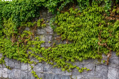 Stone Wall 4K Wallpaper · textures · 3840×2560
