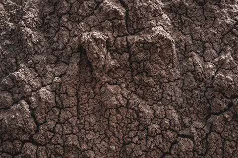 خلفية نسيج الخرسانة بدقة 4K · textures · 3840×2555