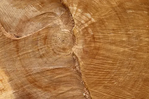 Wood Texture 4K Wallpaper · textures · 3840×2560
