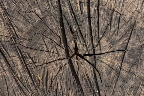 Wood Texture 4K Wallpaper · textures · 3840×2563
