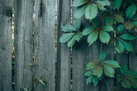 Wood Texture 4K Wallpaper · textures · 3840×2560