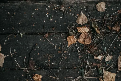 Wood Texture 4K Wallpaper · textures · 3840×2560