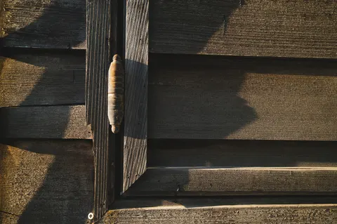 Wood Texture 4K Wallpaper · textures · 3840×2552
