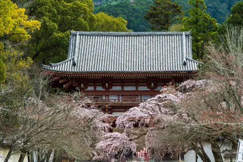 Kyoto 4K Wallpaper · travel · 3840×2560