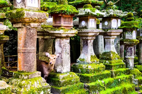 Kyoto 4K Wallpaper · travel · 3840×2560