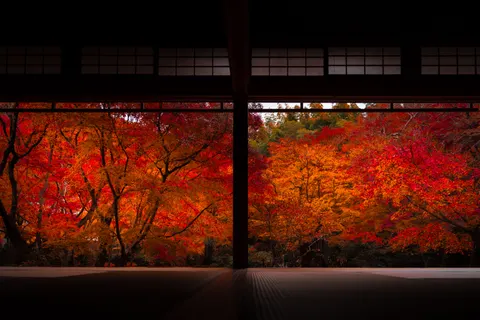 京都 4K壁紙 · travel · 3840×2560