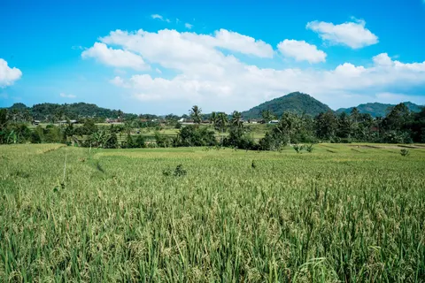 Bali 4K Wallpaper · travel · 3840×2560