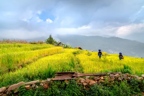 Bali 4K Wallpaper · travel · 3840×2561