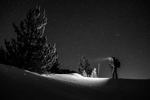 Starlit Silhouette 4K Wallpaper · space · 3840×2560