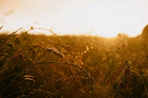 Countryside Field 4K Wallpaper · nature · 3840×2560