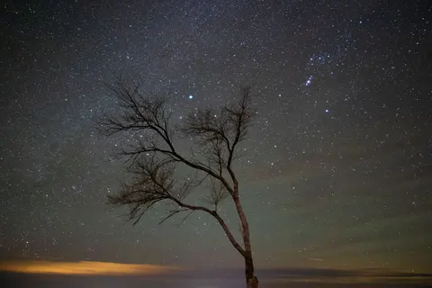 Starlit Silhouette 4K Wallpaper · space · 3840×2560