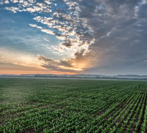 Fond d'écran Champ de campagne 4K · nature · 3840×3494