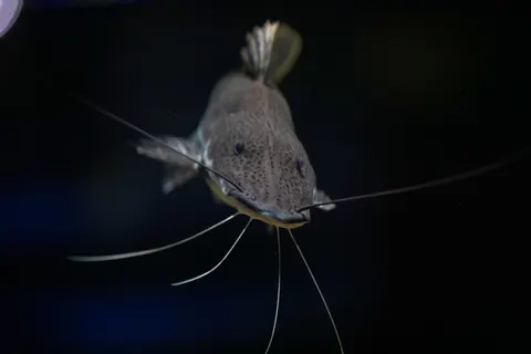 والپیپر صخره مرجانی زیر آب با کیفیت 4K · underwater · 3840×2560